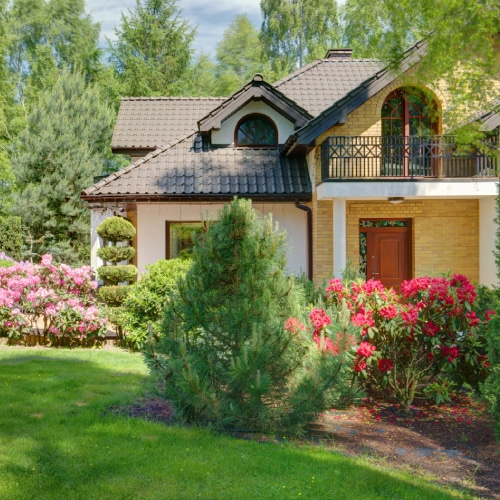 Landscaping